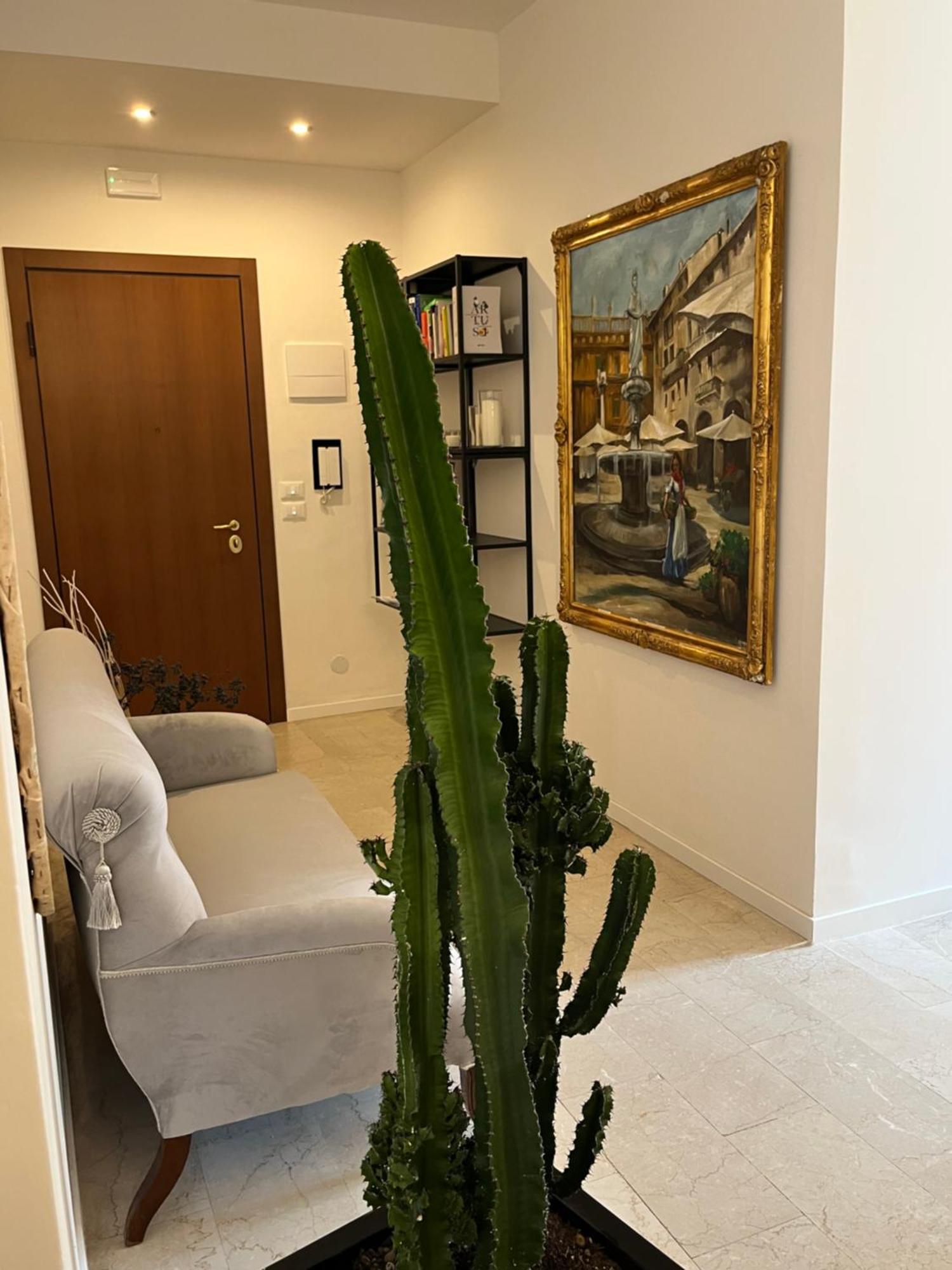 לינה וארוחת בוקר ורונה Fleur Blanche מראה חיצוני תמונה